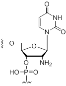 Unit Structure: 2'-Amino-uridine